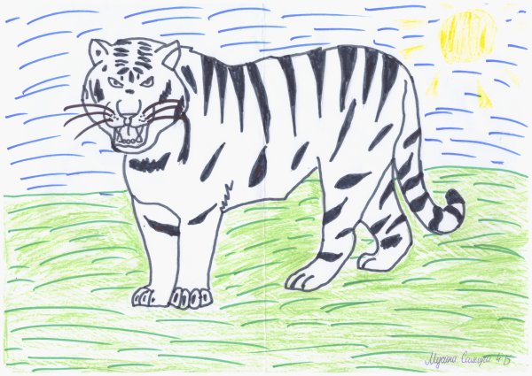 Нарисовать Амурский Уссурийский тигр