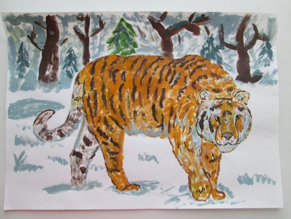 Амурский тигр для рисования