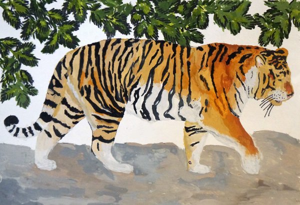 Уссурийский (Амурский) тигр Уссурийский (Амурский) тигр