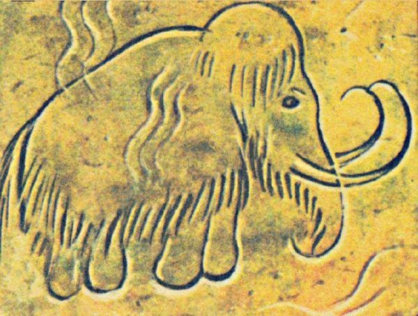 Наскальные рисунки древних людей мамонт