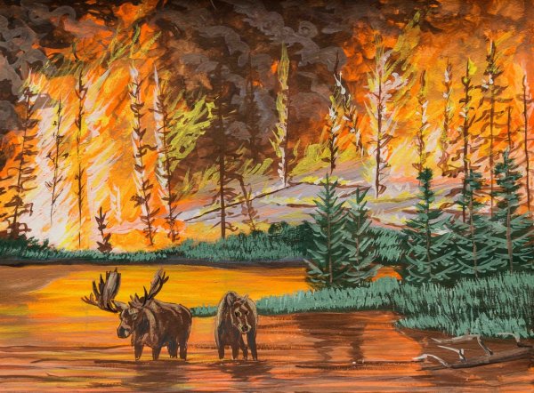 Пожар в лесу пейзаж