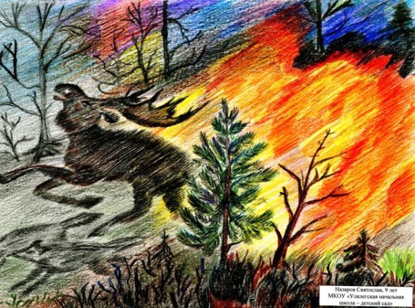 Рисование пожар в лесу