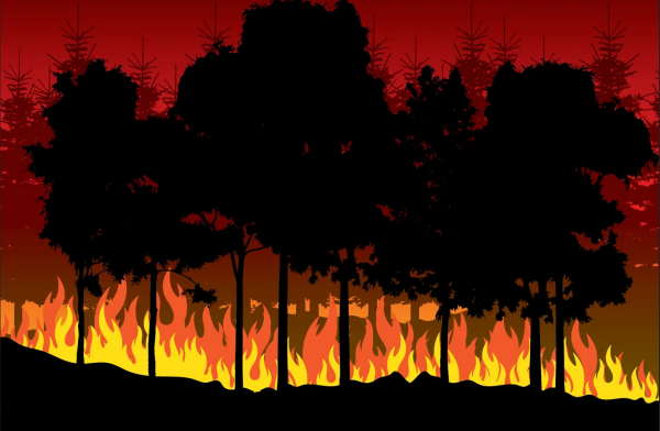 Пожар в лесу вектор