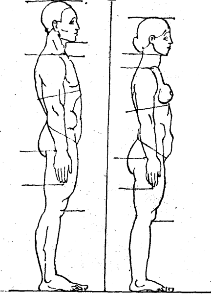Человек вид сбоку