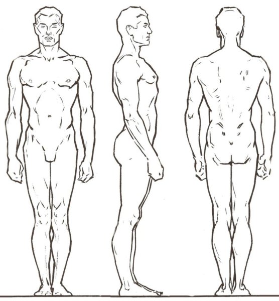 Фигура мужчины сбоку