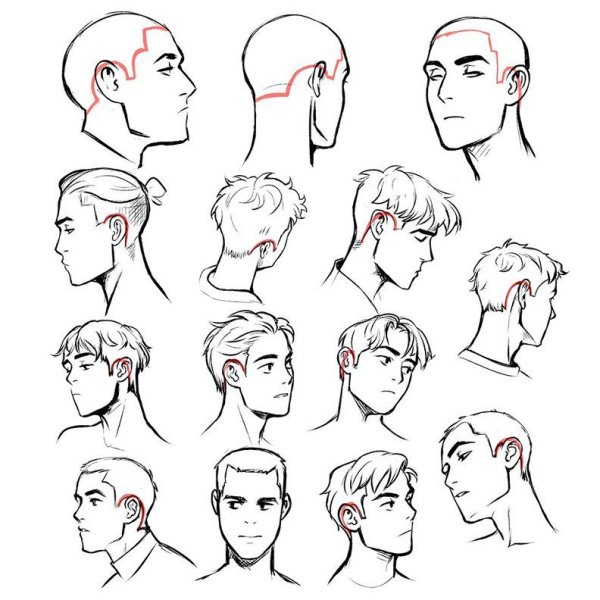 Референс головы с боку