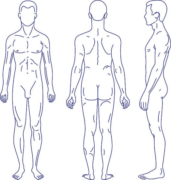 Человек спереди и сзади в полный рост