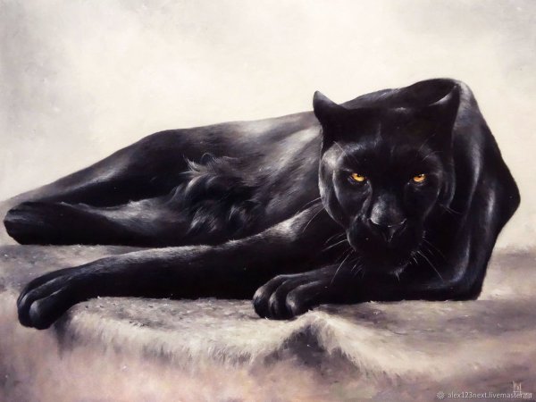 Пантера с детьми