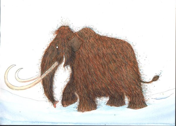 Мамонты для дошкольников