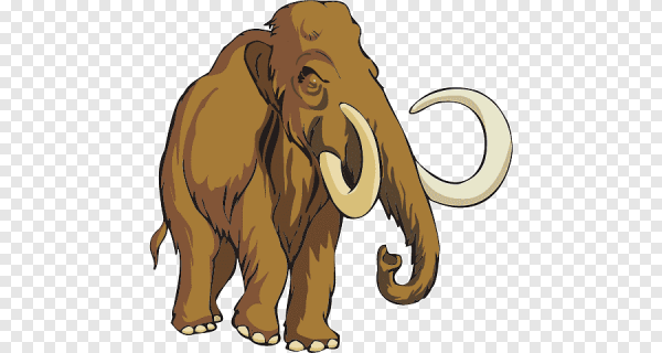 Мамонт спереди вектор