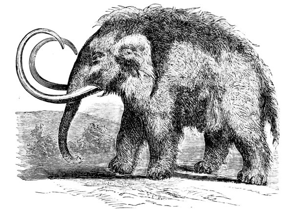 Первобытный мамонт