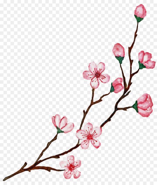 Веточка Сакуры