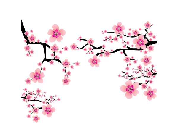 Ветка Сакуры аниме