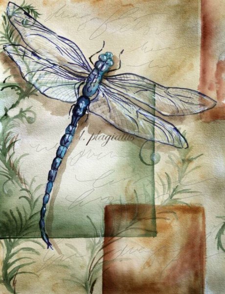 Винтажные Стрекозы