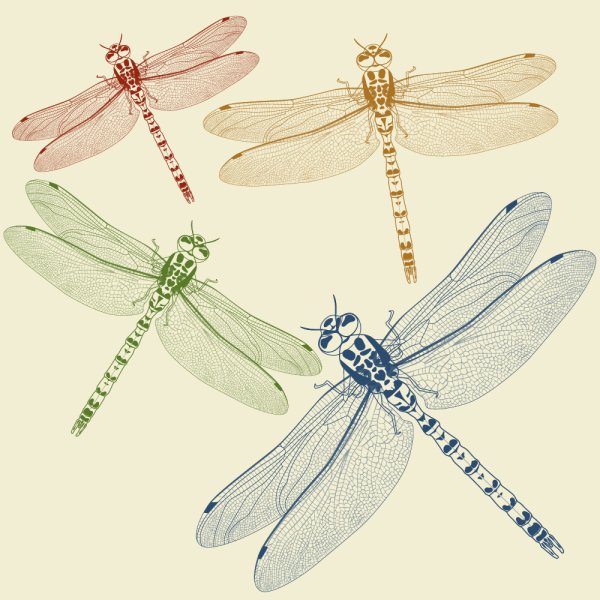 Стилизация крыла Стрекозы