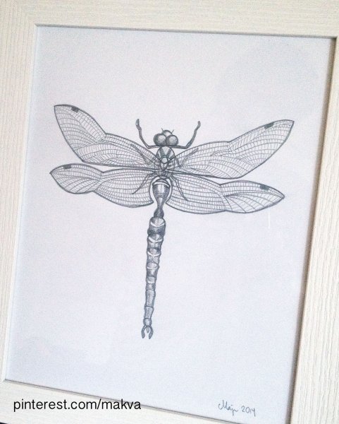 Стрекоза карандашом тату