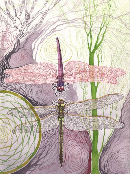 Абстрактная Стрекоза