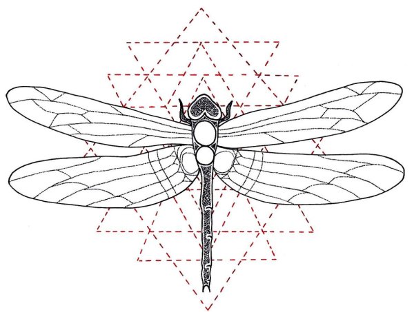 Тату Геометрическая Стрекоза