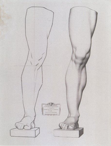 Рисование голени