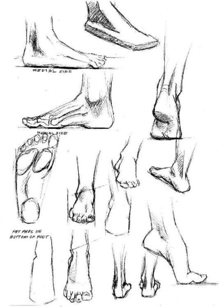 Ступня рисунок в профиль