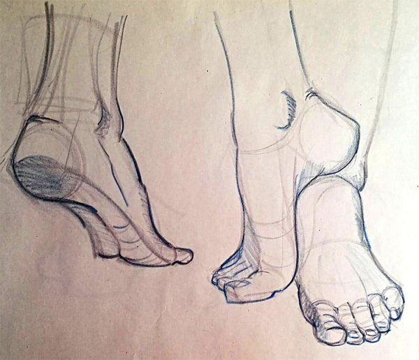 Зарисовки ног
