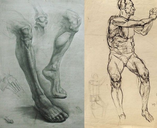 Рыжкин анатомия конечностей