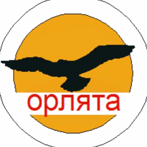 Эмблема Орлята для команды