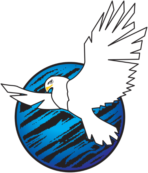 Эмблема Соколята для команды