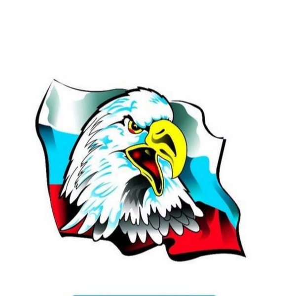 Орел на фоне российского флага