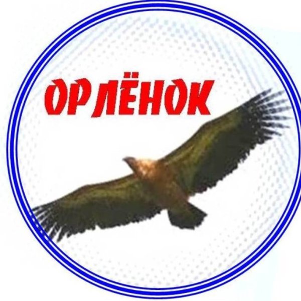 Орлята России логотип