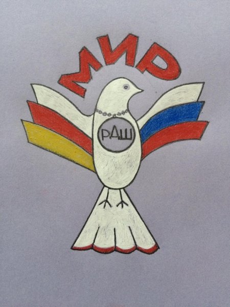 Рисунки ко Дню РДШ