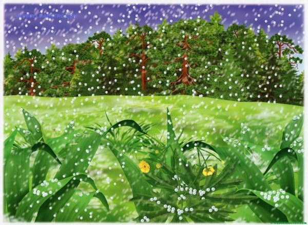 Природные явления для дошкольников