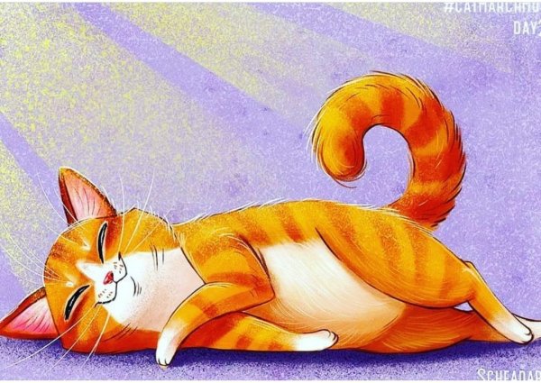 Рыжая кошка рисунок