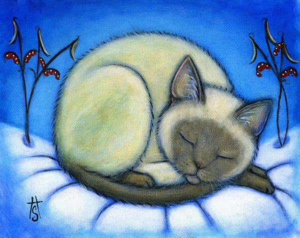 Кошка спит рисунок