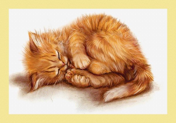 Котёнок спит клубочком