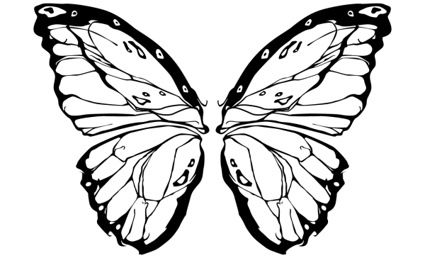 Крылья бабочки