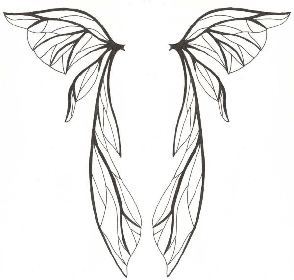 Крылья бабочки