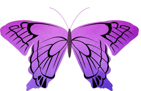 Розовые Крылья бабочки