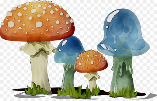 Сказочные грибы