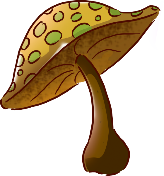 Бледная поганка гриб