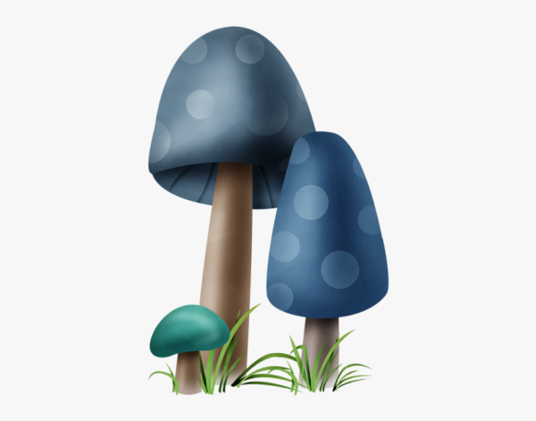 Бледная поганка гриб