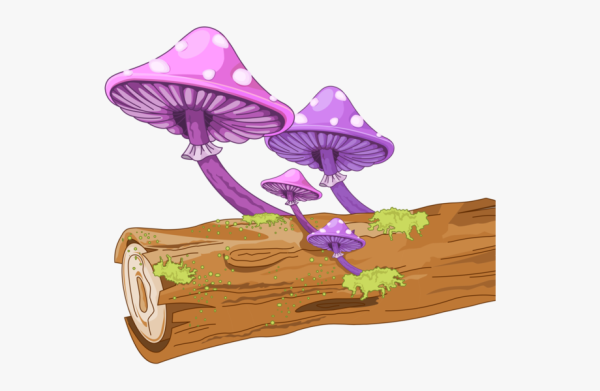 Поганки мультяшные