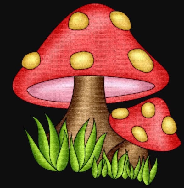 Мухомор пантерный