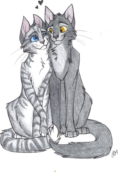 Коты Воители Крутобок