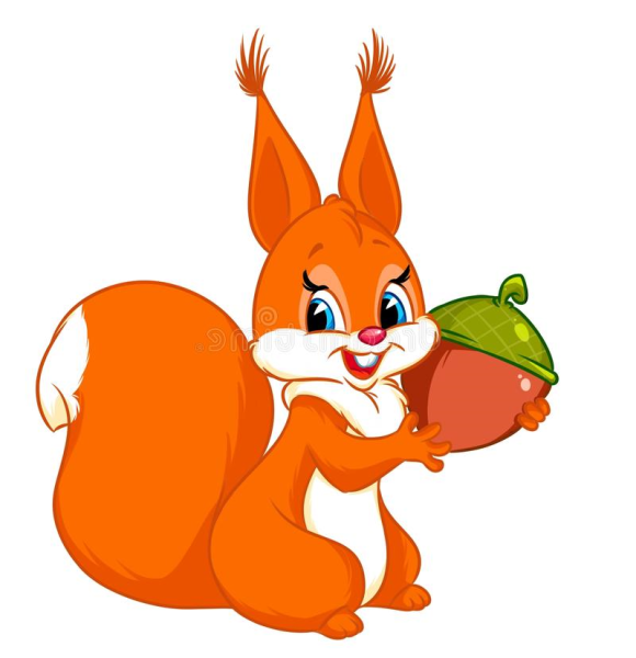 Белочка рисунок для детей