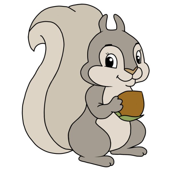 Белочка рисунок