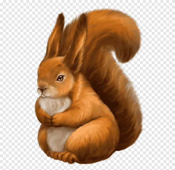 Белочка рисунок