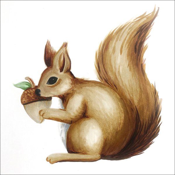 Белочка рисунок для детей