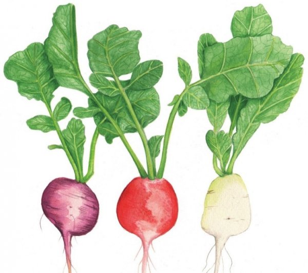 Редиска маска для детей