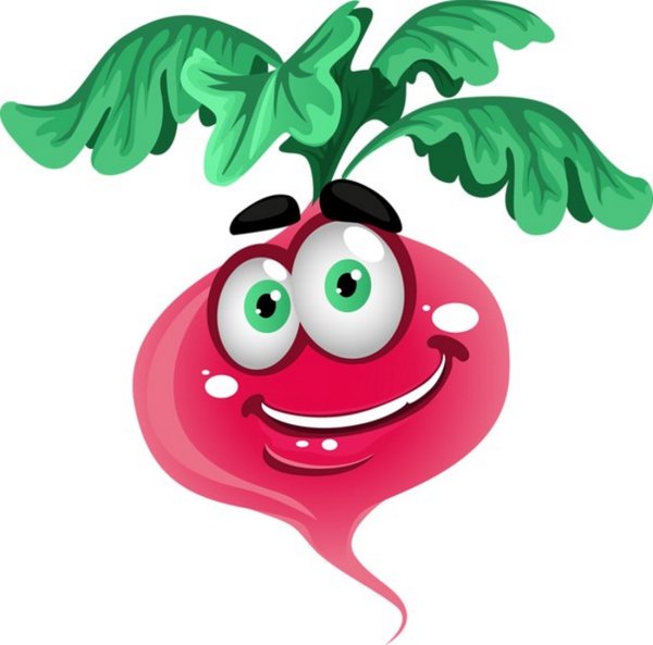 Редиска раскраска для детей